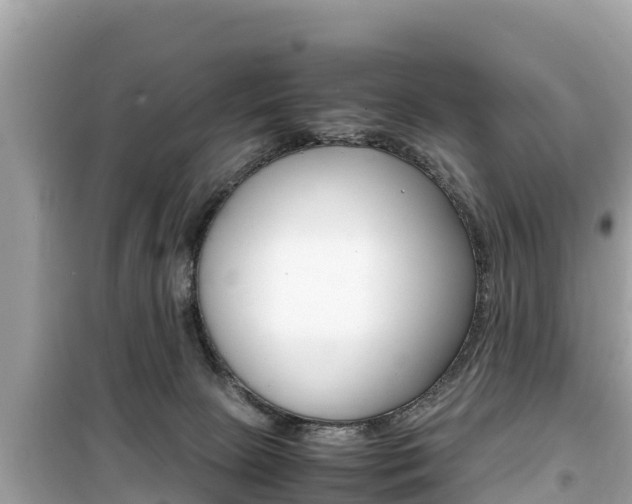 X0000099940081200805231030