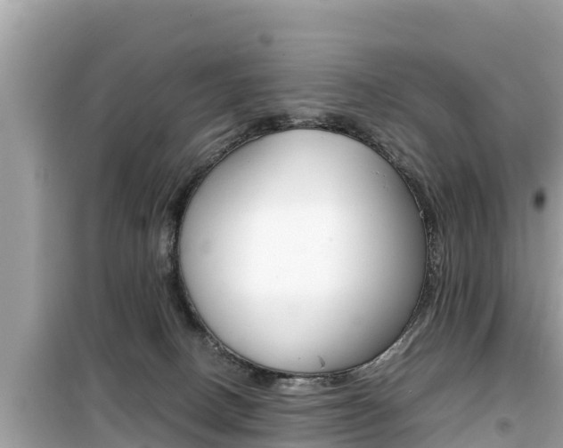 X0000099940082200805231030