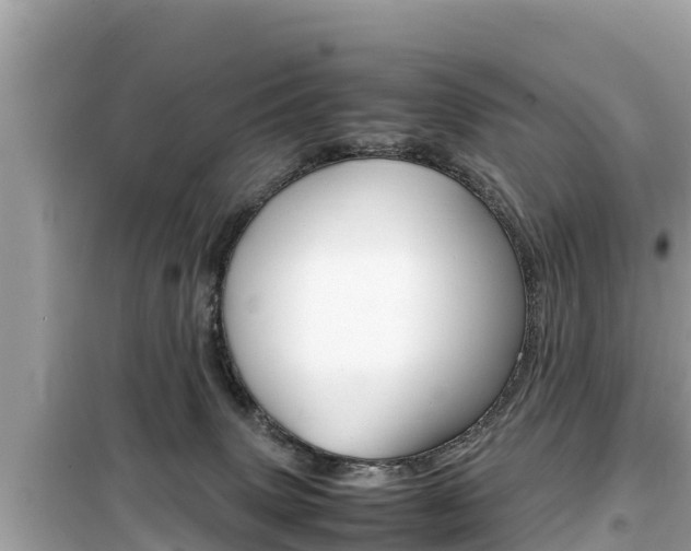 X0000099940083200805231030