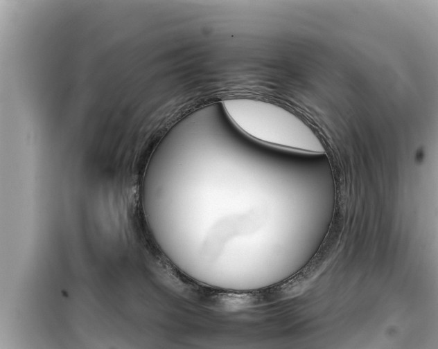 X0000099940085200805231030