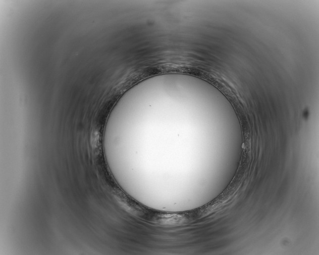X0000099940087200805231030