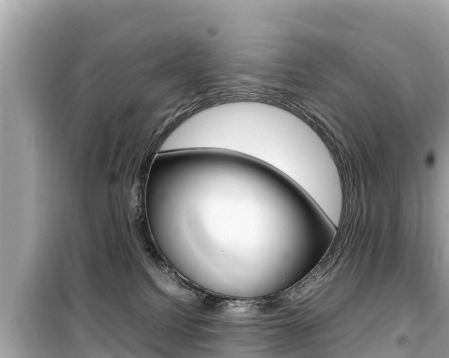 X0000099940088200805231030