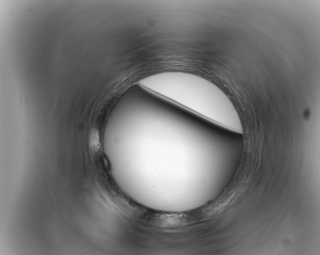 X0000099940089200805231030