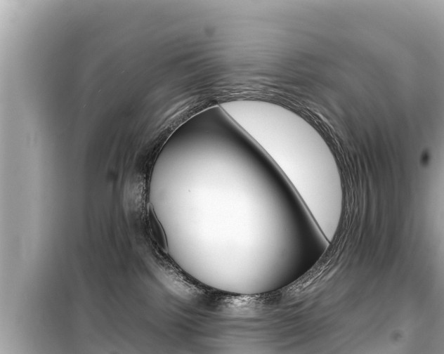 X0000099940092200805231030
