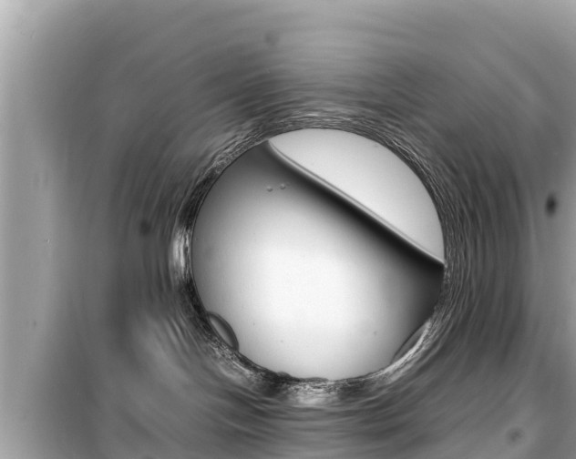 X0000099940094200805231030
