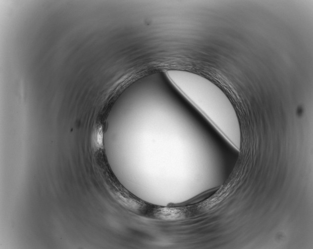 X0000099940095200805231030