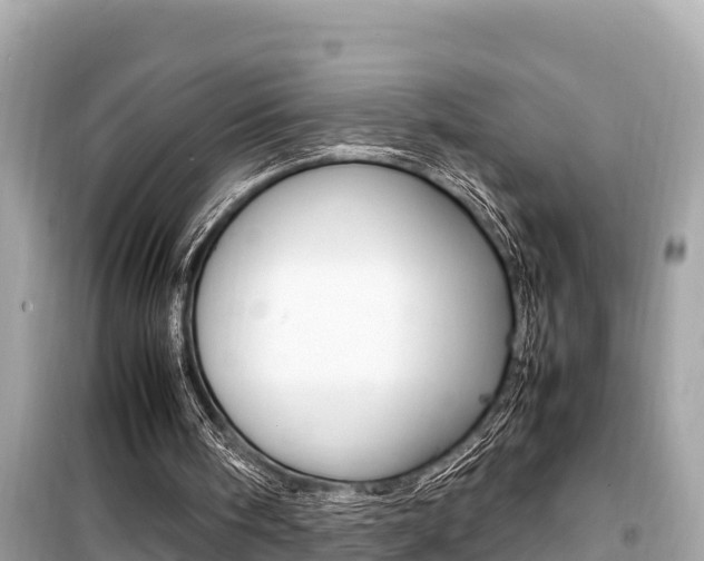 X0000099940098200805231029