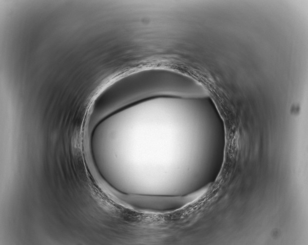 X0000099940100200805231029