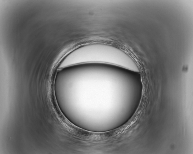 X0000099940101200805231029