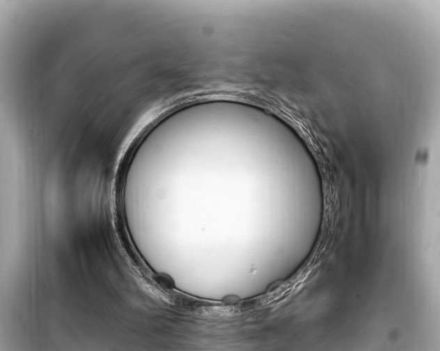 X0000099940102200805231029