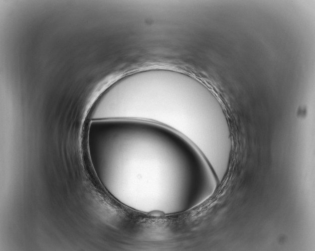 X0000099940104200805231029