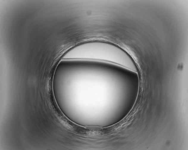 X0000099940105200805231029