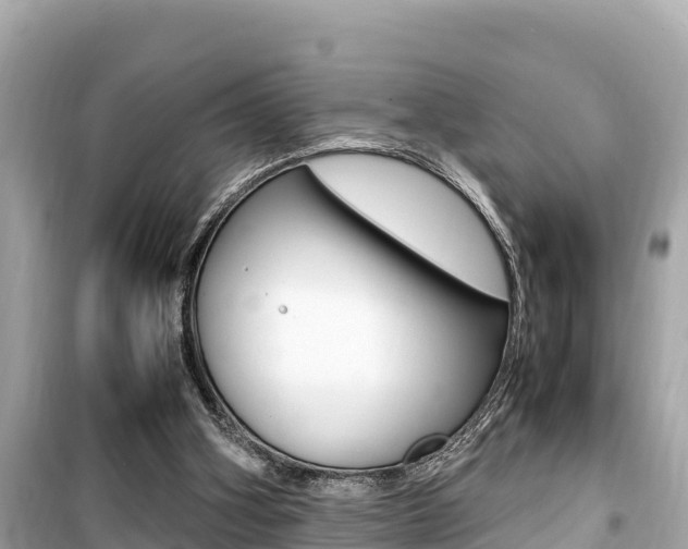 X0000099940106200805231029