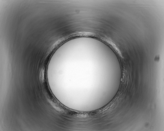 X0000099940110200805231029