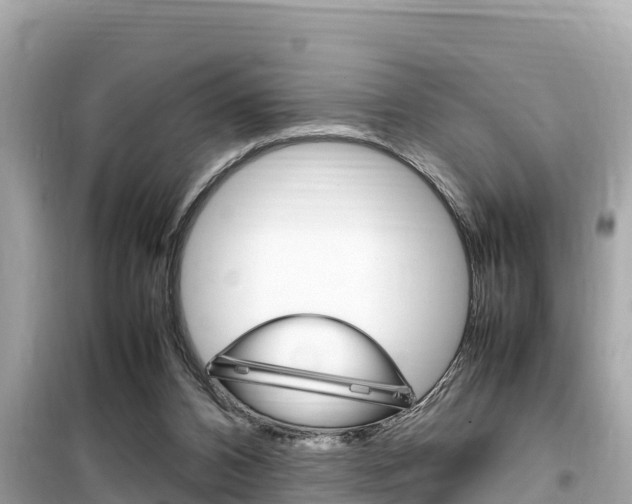 X0000099940112200805231029