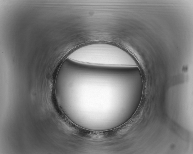 X0000099940113200805231029