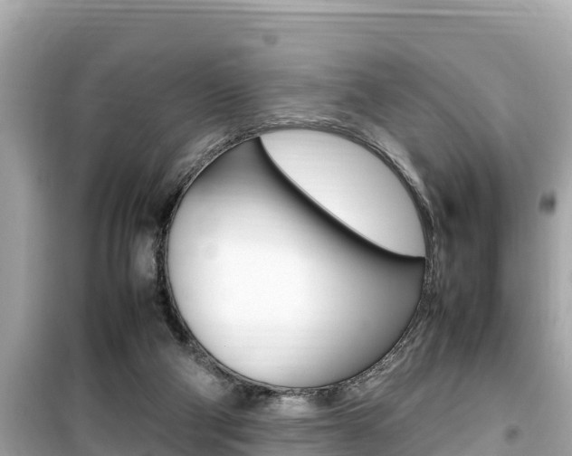 X0000099940114200805231029