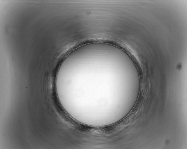 X0000099940115200805231029