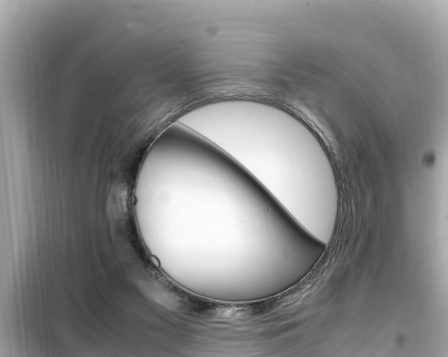 X0000099940117200805231029