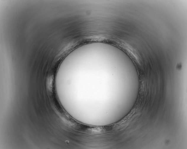 X0000099940118200805231029