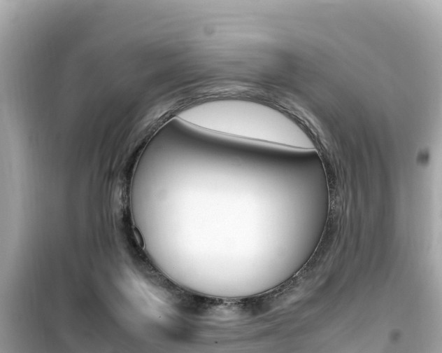 X0000099940119200805231029
