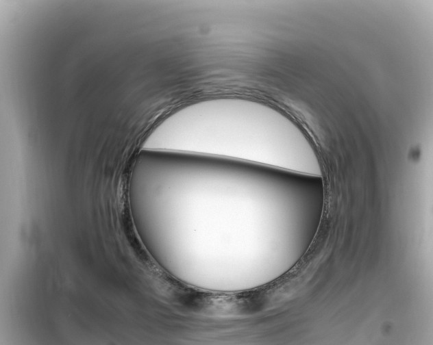 X0000099940121200805231029