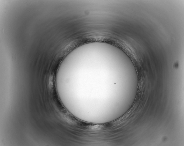 X0000099940122200805231029