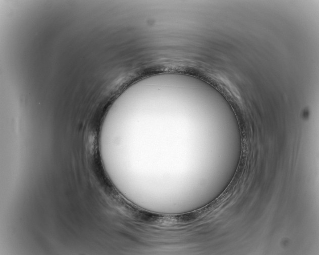 X0000099940123200805231029