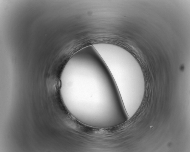 X0000099940125200805231029