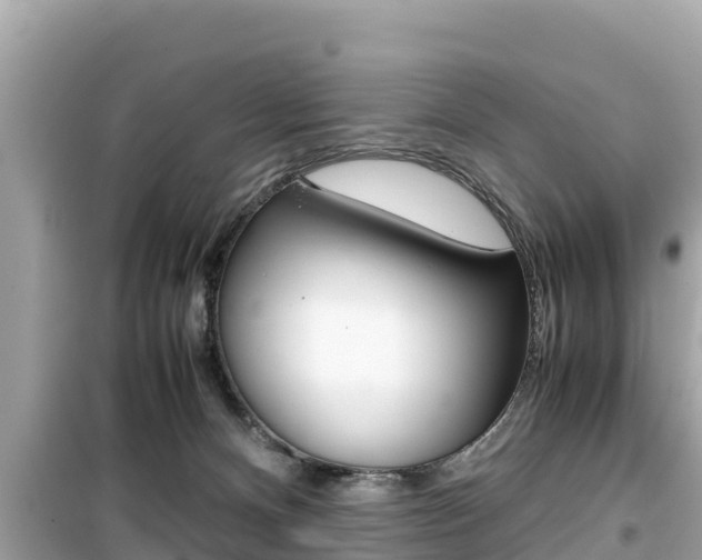 X0000099940128200805231029