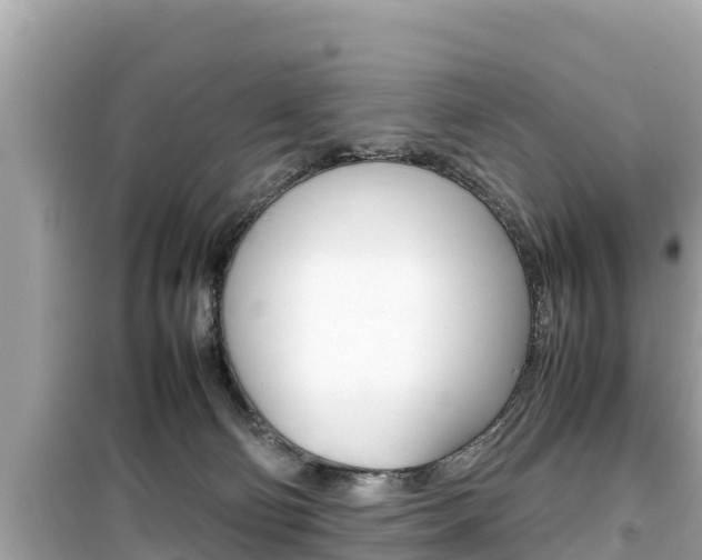 X0000099940130200805231029