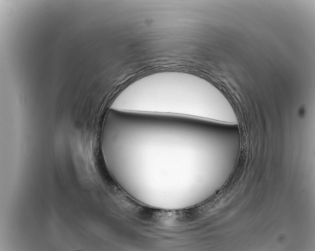 X0000099940131200805231029