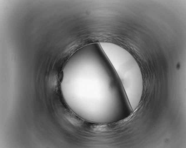 X0000099940132200805231029