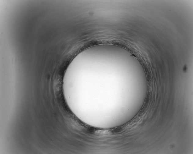 X0000099940133200805231029