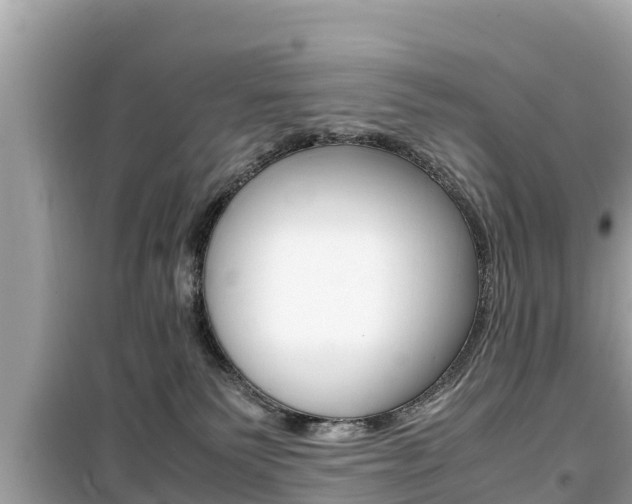X0000099940135200805231029