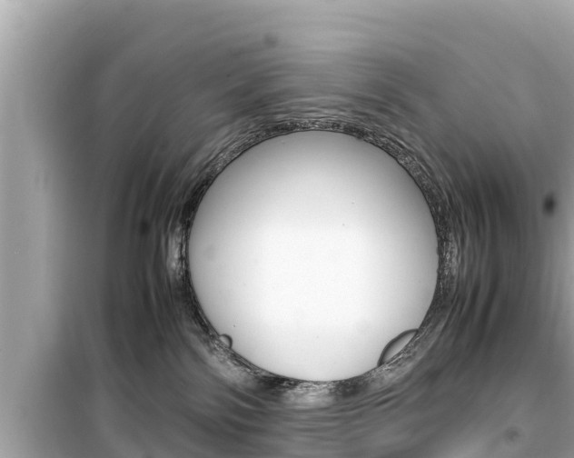 X0000099940138200805231029