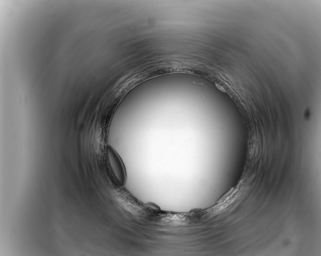 X0000099940140200805231029