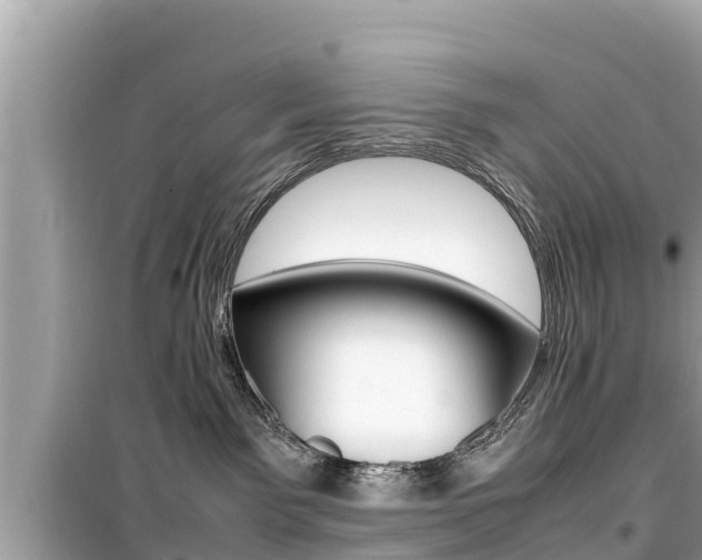X0000099940141200805231029