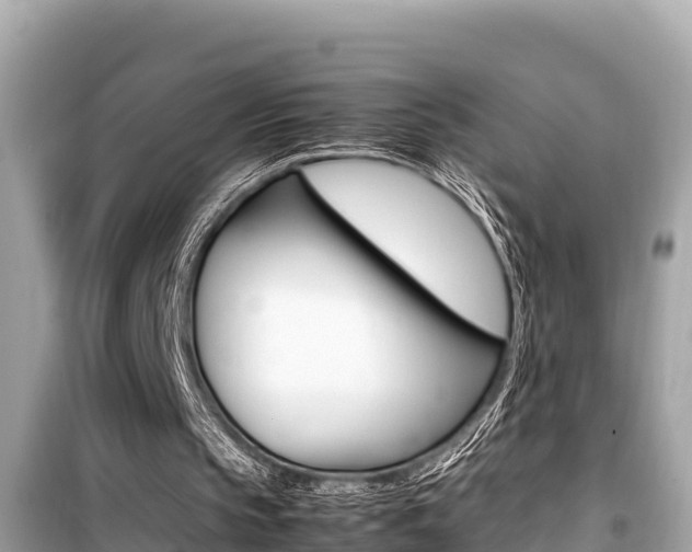 X0000099940145200805231028