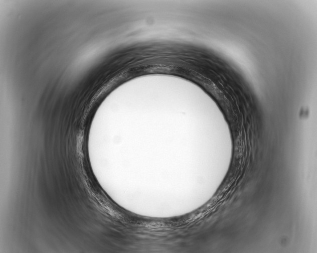 X0000099940146200805231028