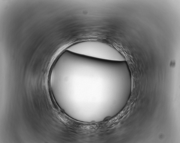 X0000099940147200805231028