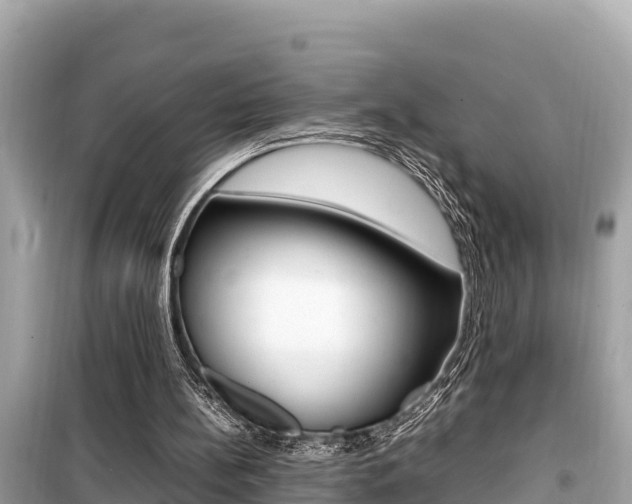 X0000099940148200805231028