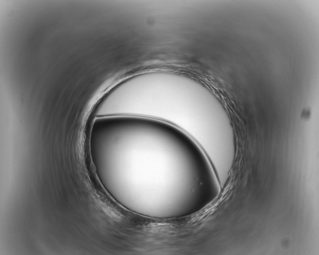 X0000099940150200805231028