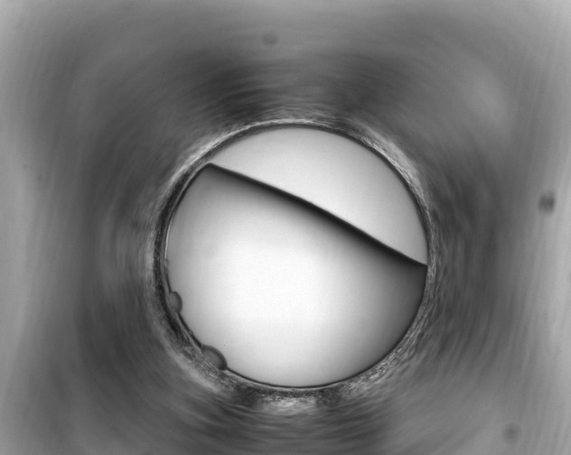 X0000099940155200805231028