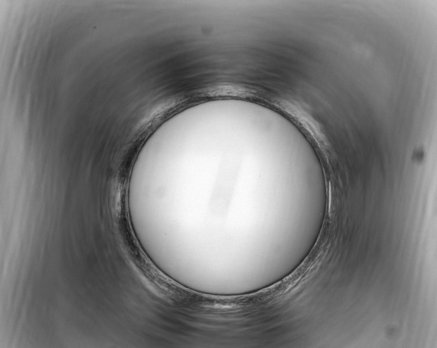 X0000099940157200805231028