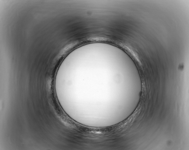 X0000099940159200805231028
