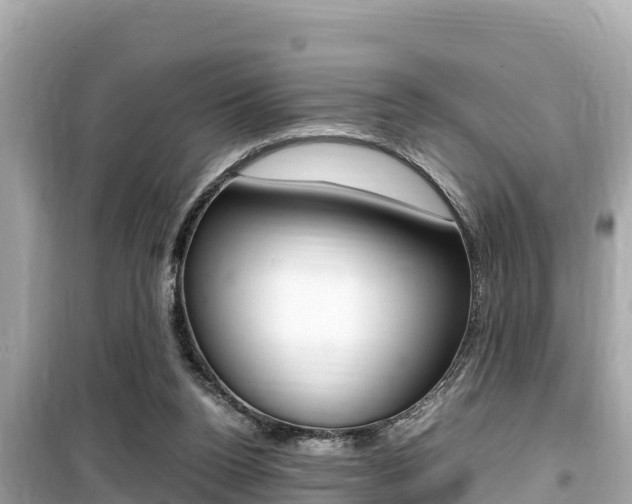 X0000099940160200805231028