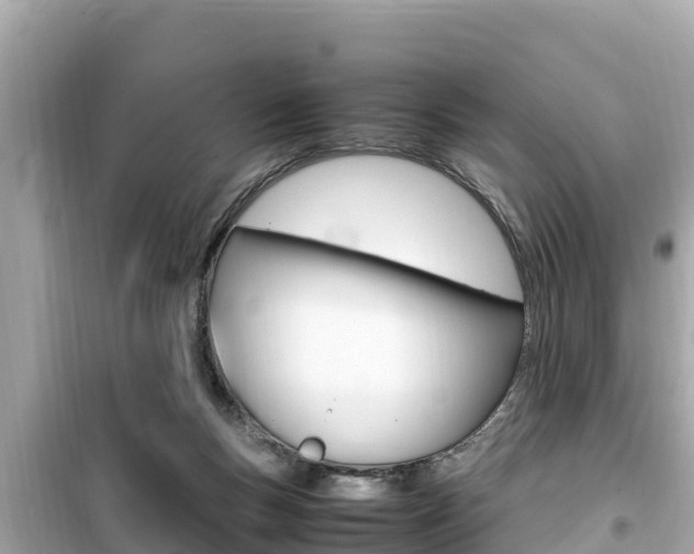 X0000099940167200805231028
