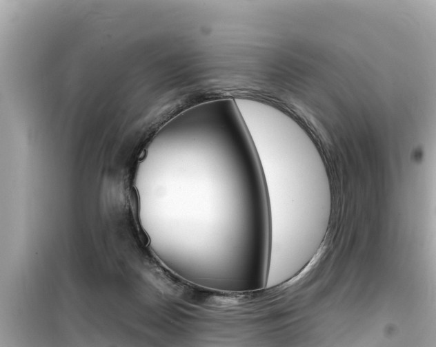 X0000099940170200805231028