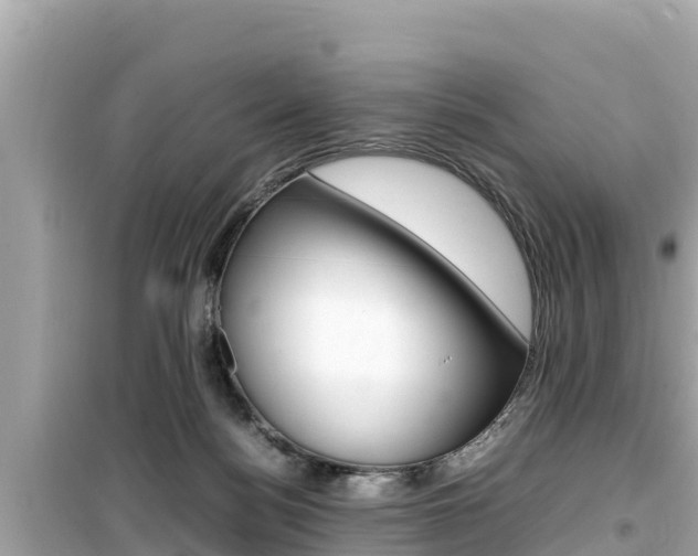X0000099940172200805231028